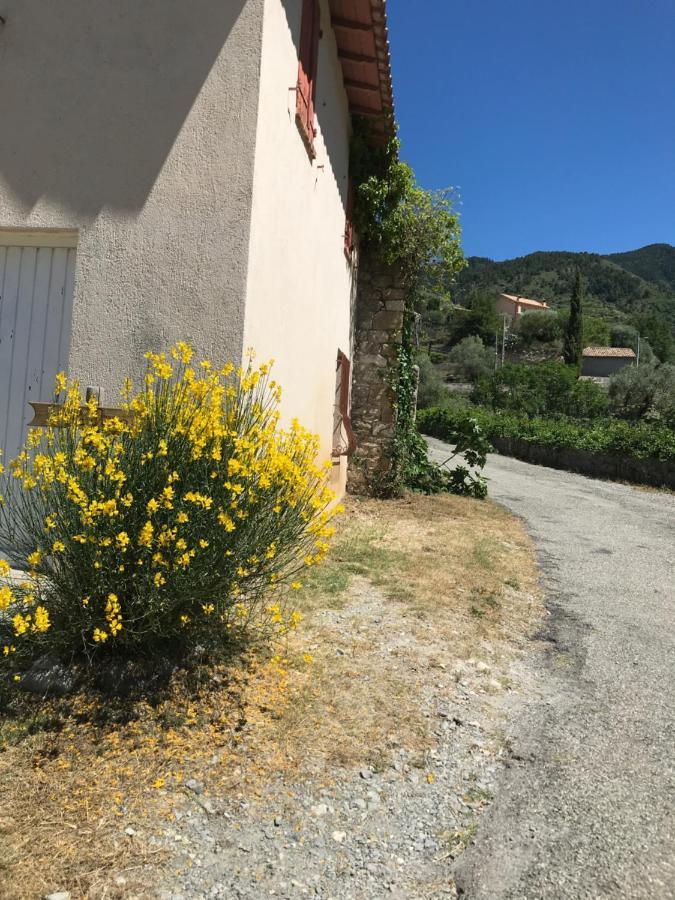 La Ferme Des Cailletiers Chez Marco Villa Lucéram Eksteriør bilde