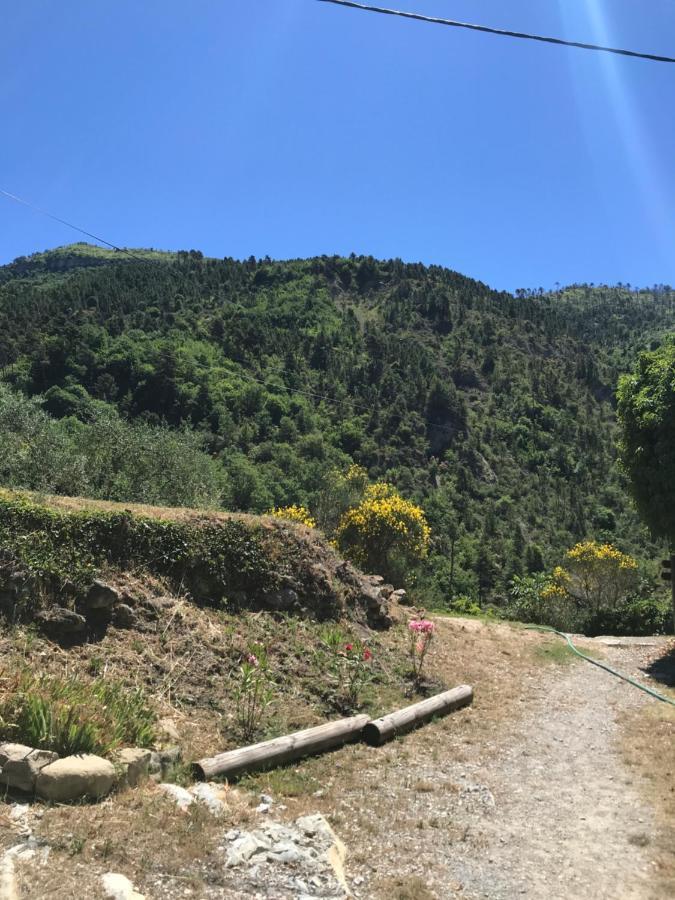 La Ferme Des Cailletiers Chez Marco Villa Lucéram Eksteriør bilde